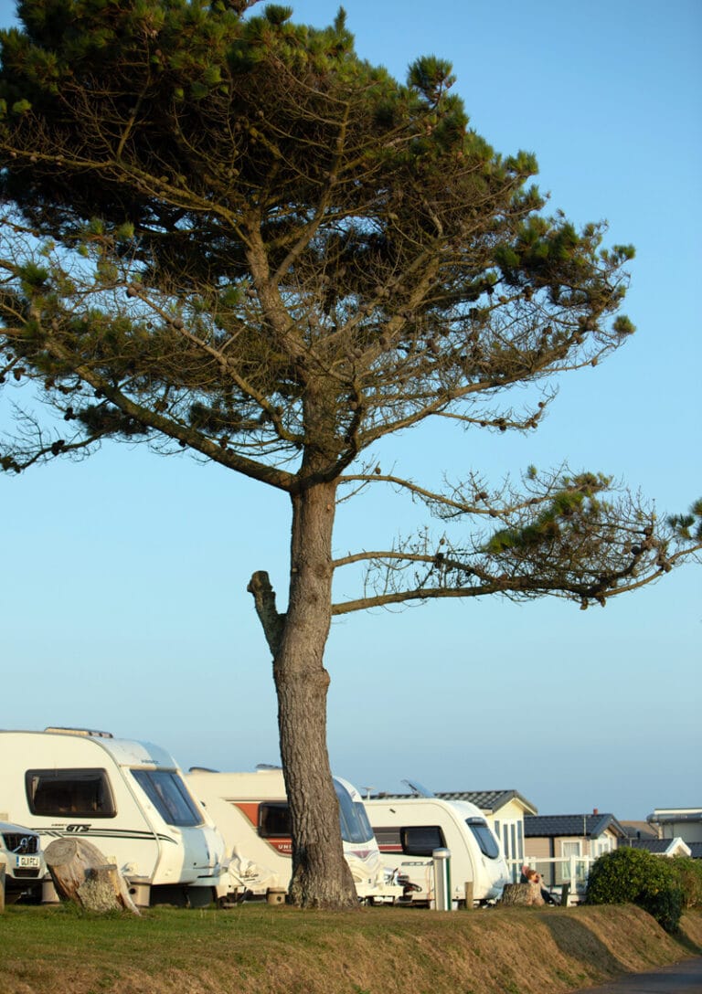 weymouth camping and caravan park gallery 805x1140px 5701